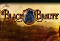 Black Beauty