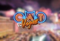 Cat à Las Vegas