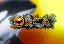 Orca