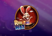 Rabbit in The Hat