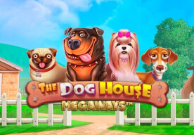 The Dog House Megaways