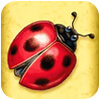 Ladybug symbole