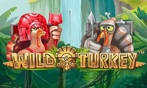 Wild Turkey
