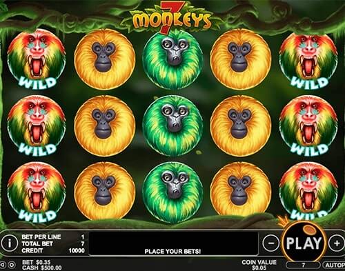 7 singes