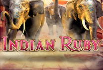 Indian Ruby