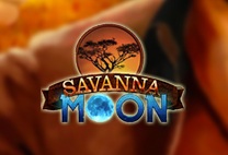 Savannah Moon