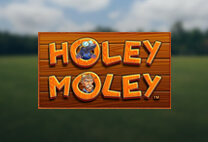 Troués Moley