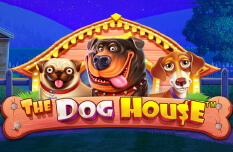 The Dog House