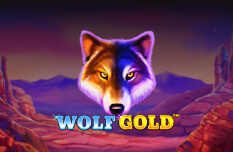 Wolf Gold
